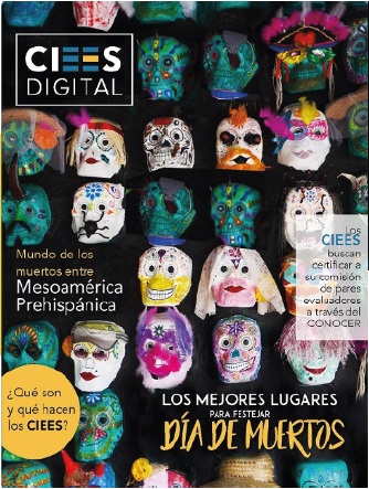 Revista 1